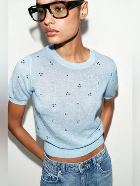 Zara Pale Blue Eyelet Knit Crop Top
